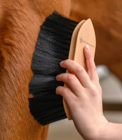 Waldhausen Putzzeug><noscript><img width=