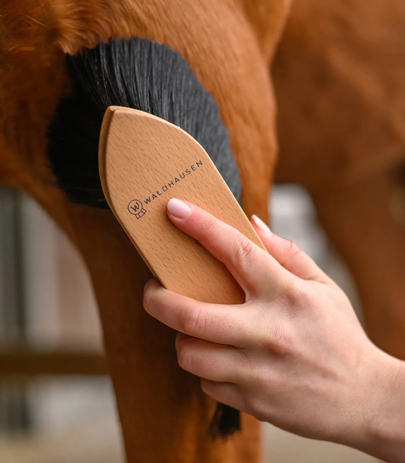 Waldhausen Putzzeug>Exclusive Line Staubbürste