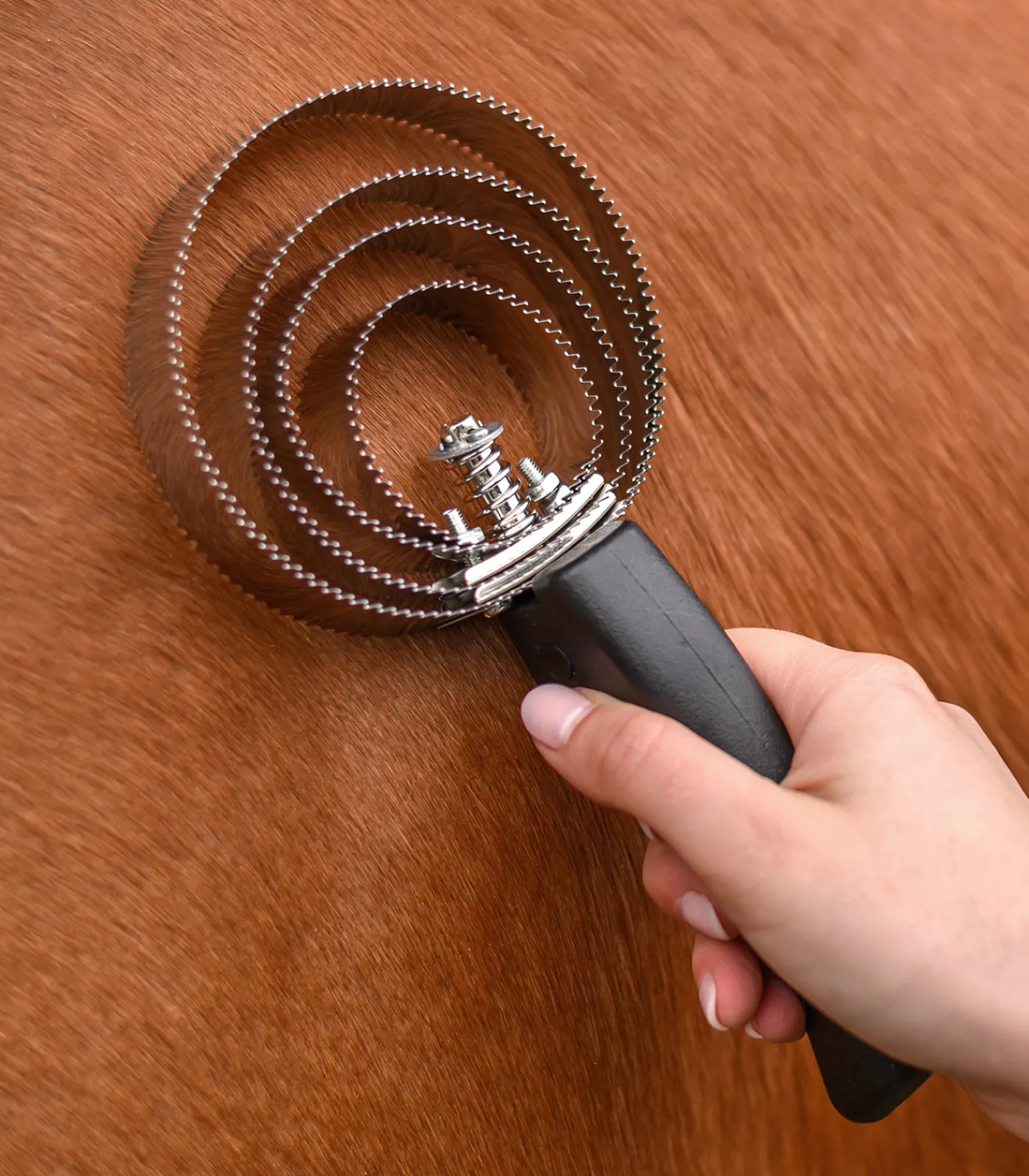 Waldhausen Hufpflege|Putzzeug>Federstriegel 4-fach