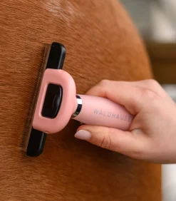 Waldhausen Hundebedarf|Putzzeug></noscript>Fellwechselkamm mit Gelgriff, L