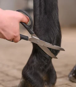 Waldhausen Schermaschine & Scheren>Fesselschere, gebogen