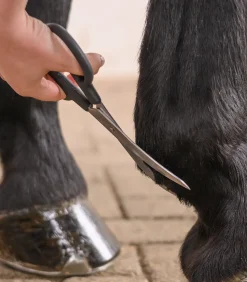 Waldhausen Schermaschine & Scheren><noscript><img width=