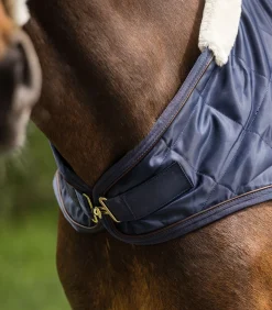 Waldhausen Ausreit- & Führanlagendecken></noscript>Führmaschinendecke EXCLUSIVE, 50g