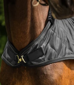 Waldhausen Ausreit- & Führanlagendecken></noscript>Führmaschinendecke EXCLUSIVE, 50g