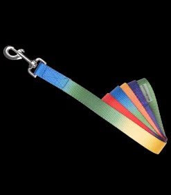 Waldhausen Stricke>Führstrick Regenbogen