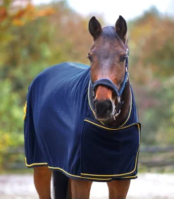 Waldhausen Abschwitzdecken><noscript><img width=