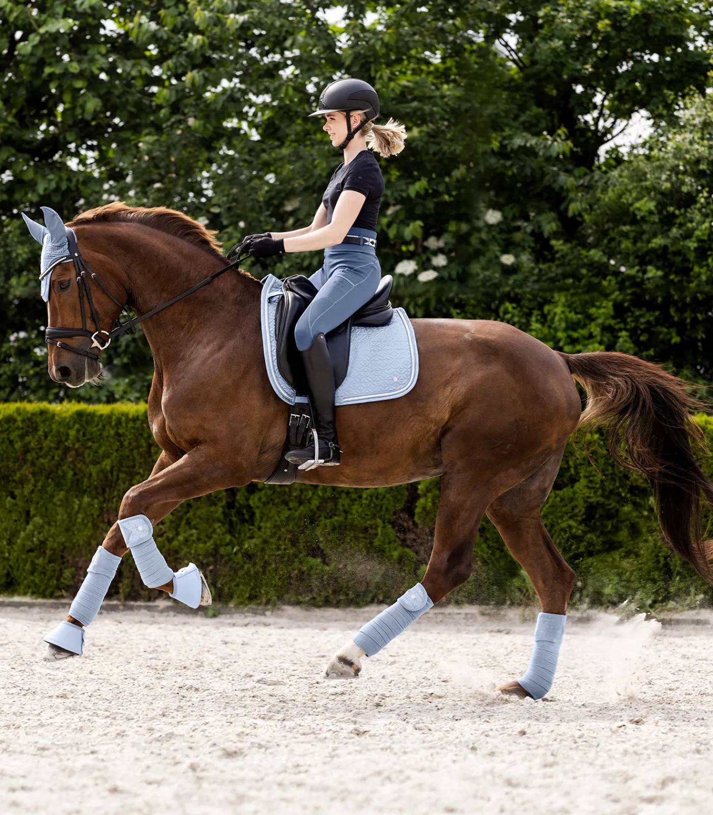 Waldhausen Bandagen & Bandagierunterlagen>Fleecebandagen Rom, 4er Set