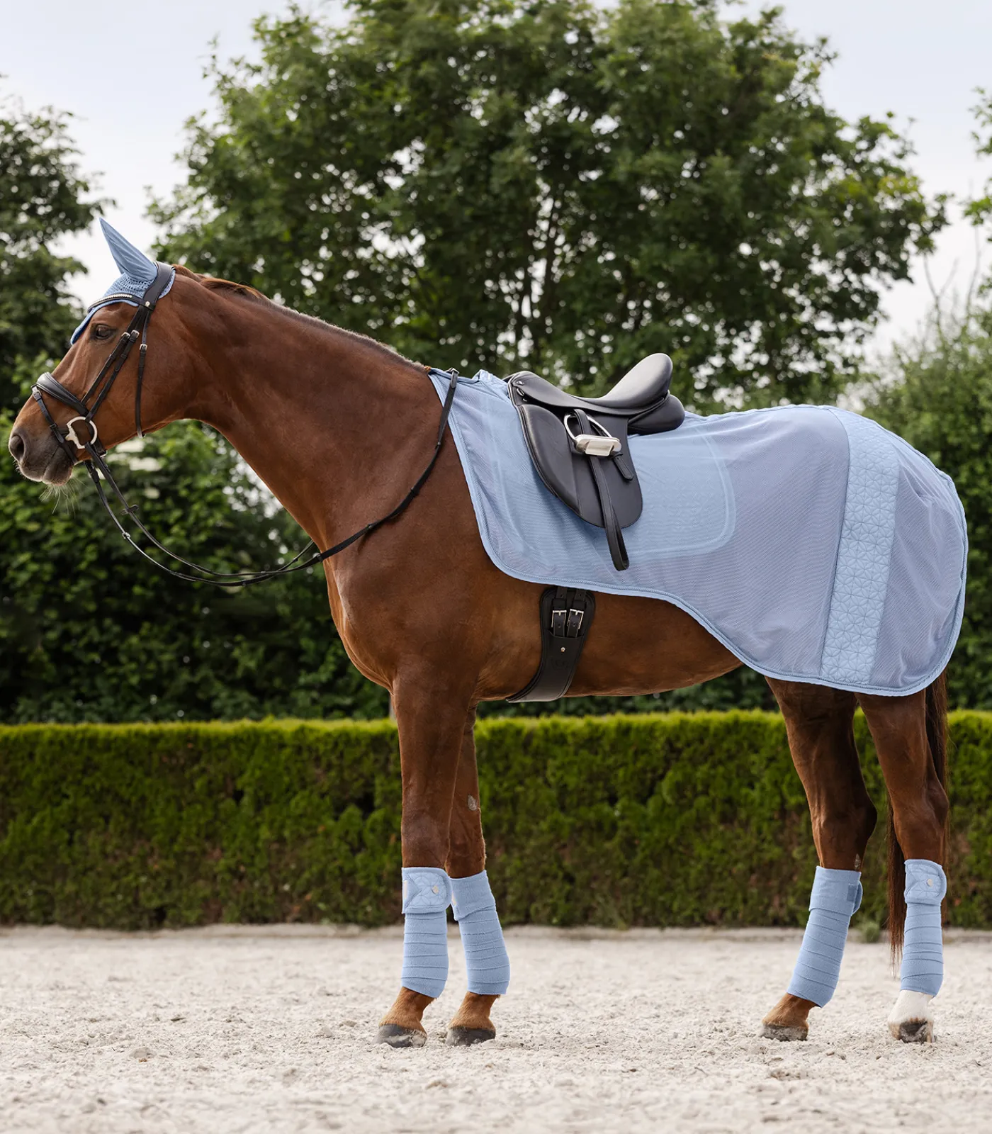 Waldhausen Bandagen & Bandagierunterlagen>Fleecebandagen Rom, 4er Set