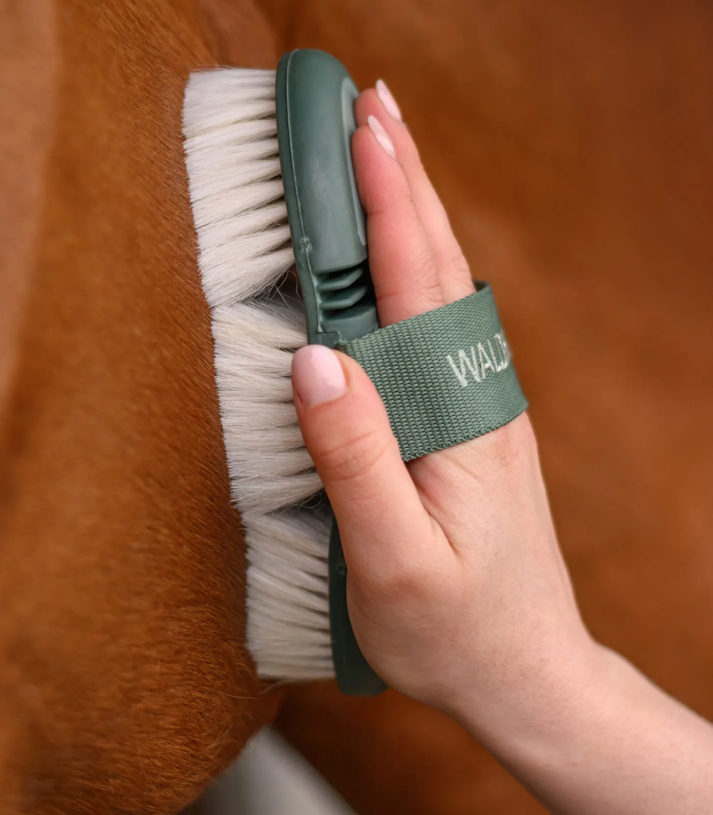 Waldhausen Putzzeug>Flex Glanzbürste