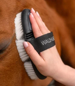 Waldhausen Putzzeug><noscript><img width=