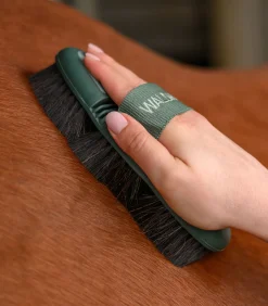 Waldhausen Putzzeug><noscript><img width=