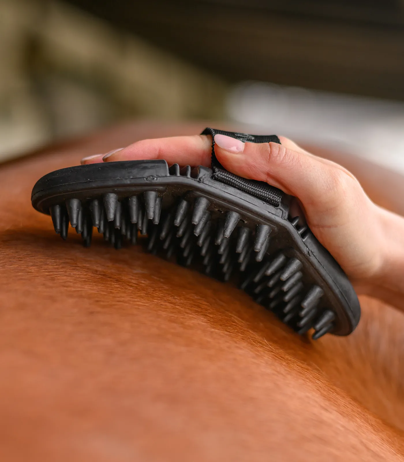 Waldhausen Putzzeug>Flex Massage-Striegel