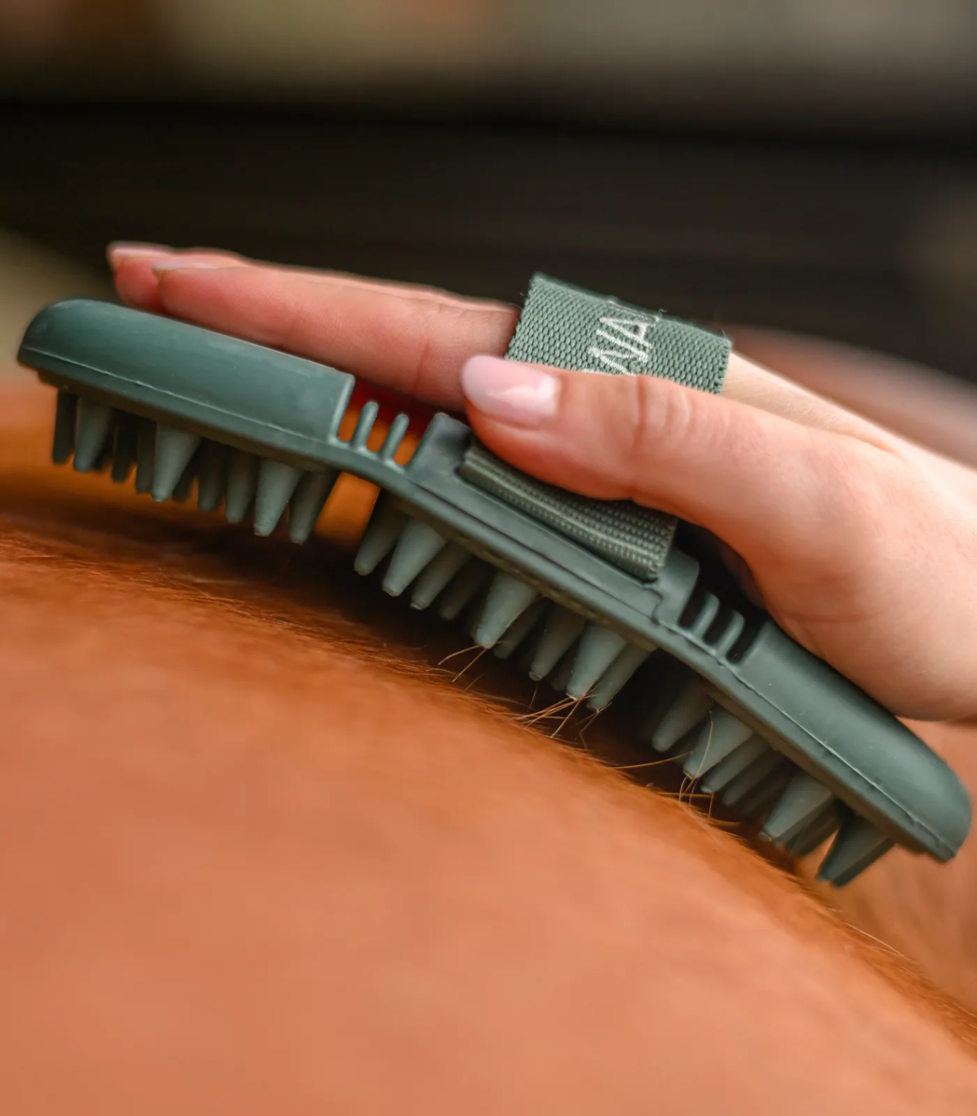 Waldhausen Putzzeug>Flex Massage-Striegel