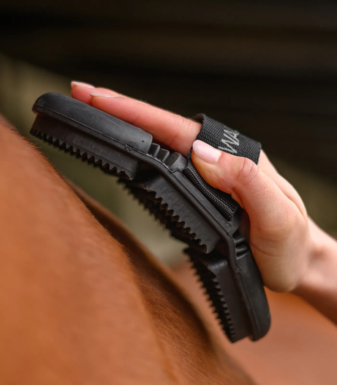 Waldhausen Putzzeug>Flex Striegel