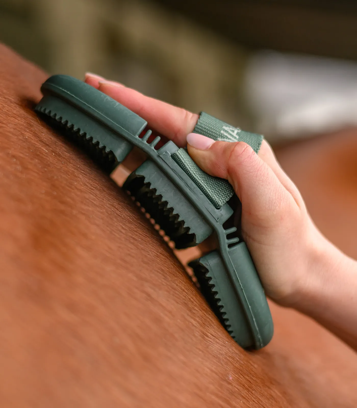 Waldhausen Putzzeug>Flex Striegel