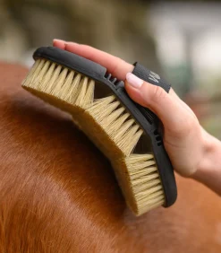 Waldhausen Putzzeug><noscript><img width=