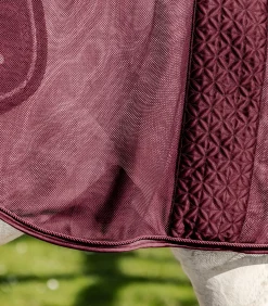 Waldhausen Ausreit- & Führanlagendecken><noscript><img width=