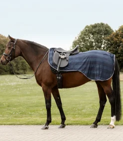 Waldhausen Fliegen- & Ekzemerdecken|Fliegendecken>Fliegen-Ausreitdecke Economic