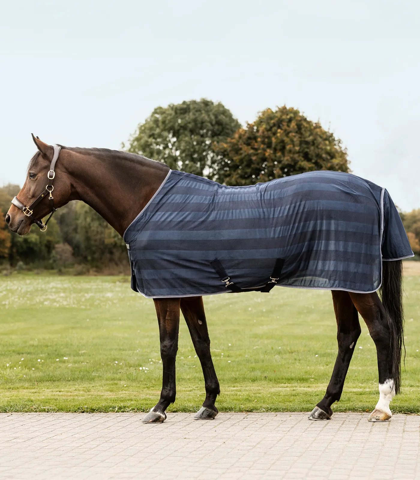 Waldhausen Fliegen- & Ekzemerdecken|Fliegendecken>Fliegendecke Economic