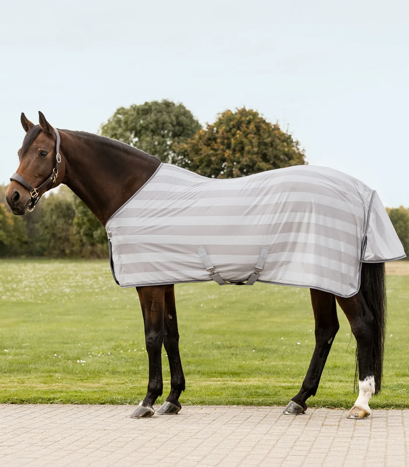 Waldhausen Fliegen- & Ekzemerdecken|Fliegendecken>Fliegendecke Economic