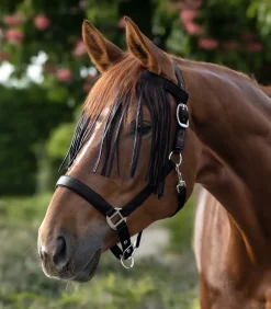 Waldhausen Pony & Shetty|Fliegenmasken Und -Fransen>Fliegenfransen Salon
