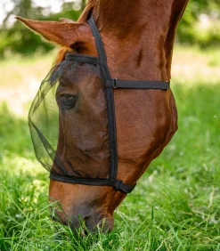 Waldhausen Pony & Shetty|Fliegenmasken Und -Fransen>Fliegenmaske Basic, ohne Ohren