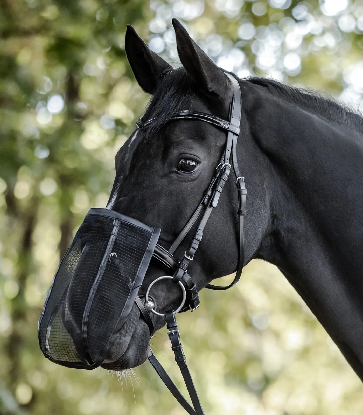 Waldhausen Pony & Shetty|Fliegenmasken Und -Fransen>Fliegen-Nasenschutz, mit UV-Schutz