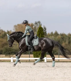 Waldhausen Fliegenhauben><noscript><img width=