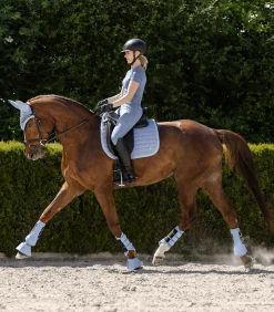 Waldhausen Fliegenhauben><noscript><img width=