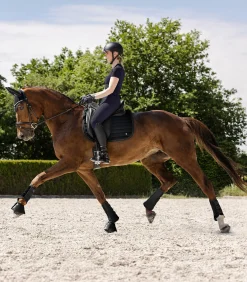 Waldhausen Fliegenhauben><noscript><img width=