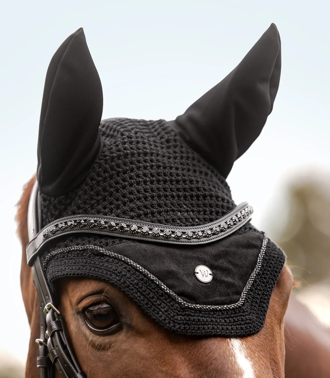 Waldhausen Fliegenhauben>Fliegenohren St. Gallen