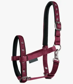 Waldhausen Fohlen|Halfter><noscript><img width=