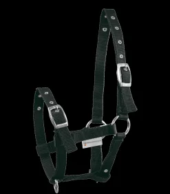 Waldhausen Fohlen|Halfter></noscript>Fohlenhalfter Triple