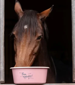 Waldhausen Futtereimer, Tröge & Schüsseln|Turnieraccessoires & Pflege></noscript>Futterschale mit Deckel