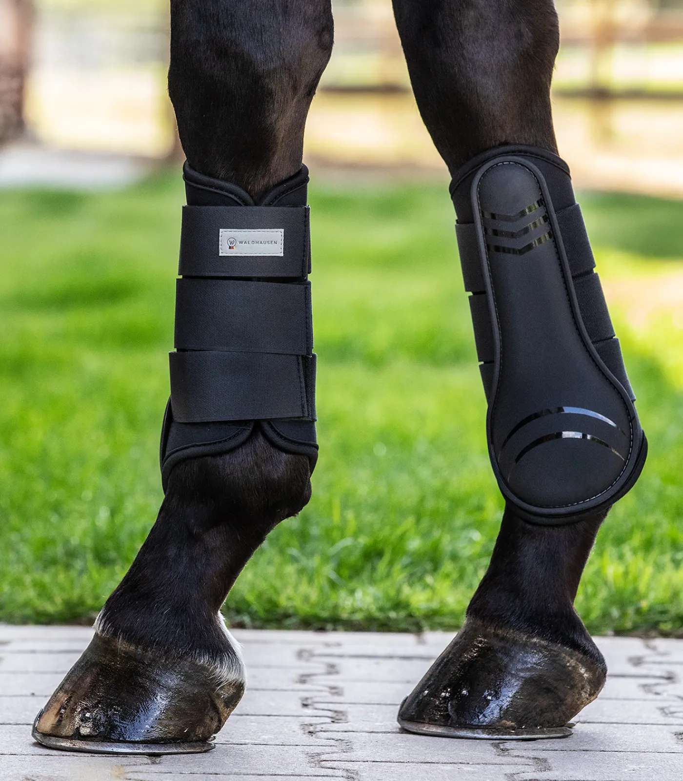 Waldhausen Gamaschen & Streichkappen>Gamasche Basic Plus