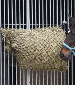 Waldhausen Heunetze></noscript>Großes Heunetz