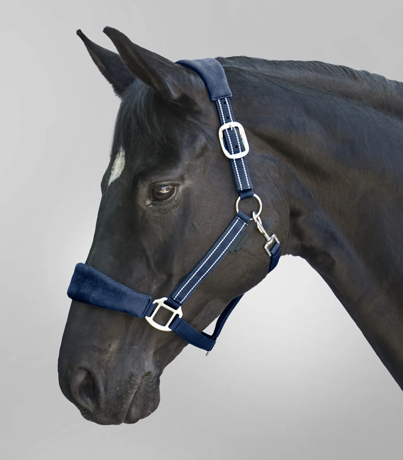 Waldhausen Pony & Shetty|Halfter>Halfter Alcantara