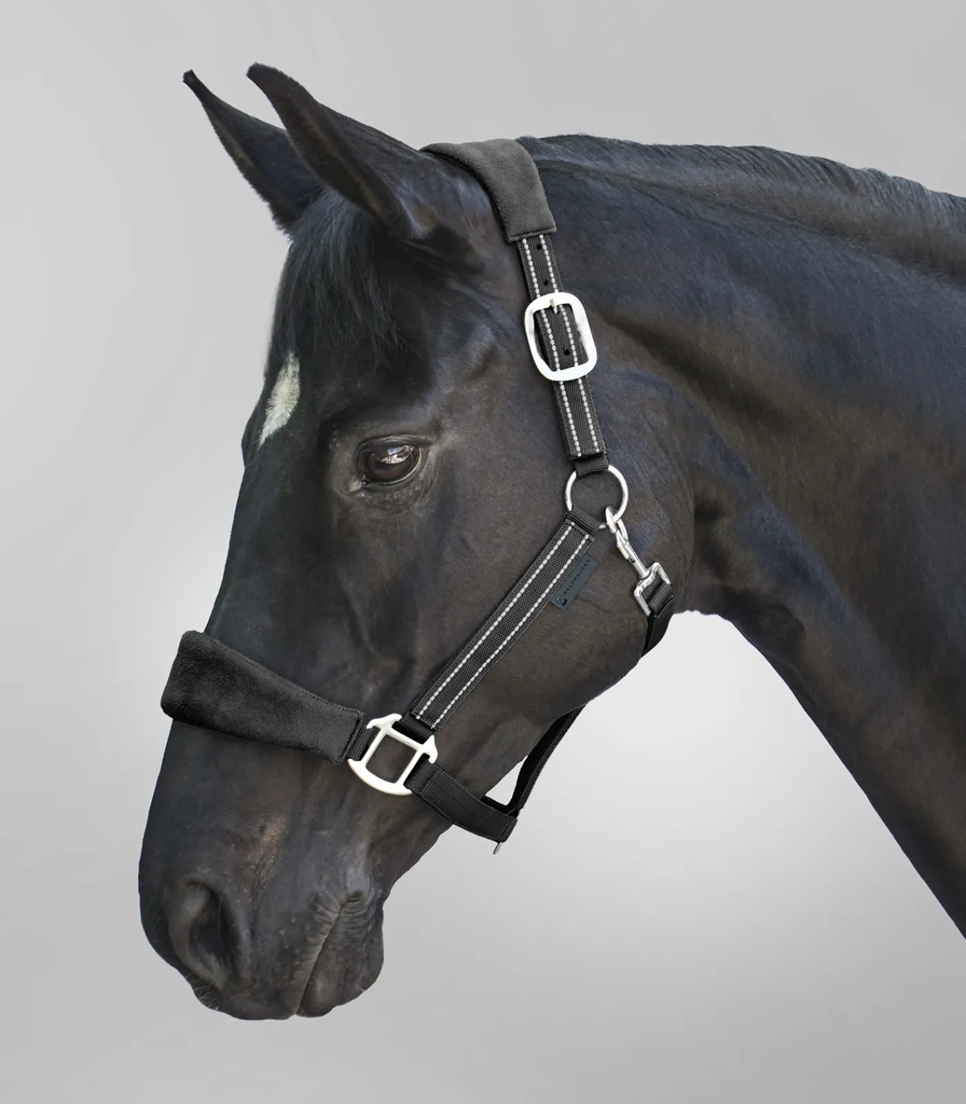 Waldhausen Pony & Shetty|Halfter>Halfter Alcantara