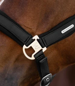 Waldhausen Halfter><noscript><img width=