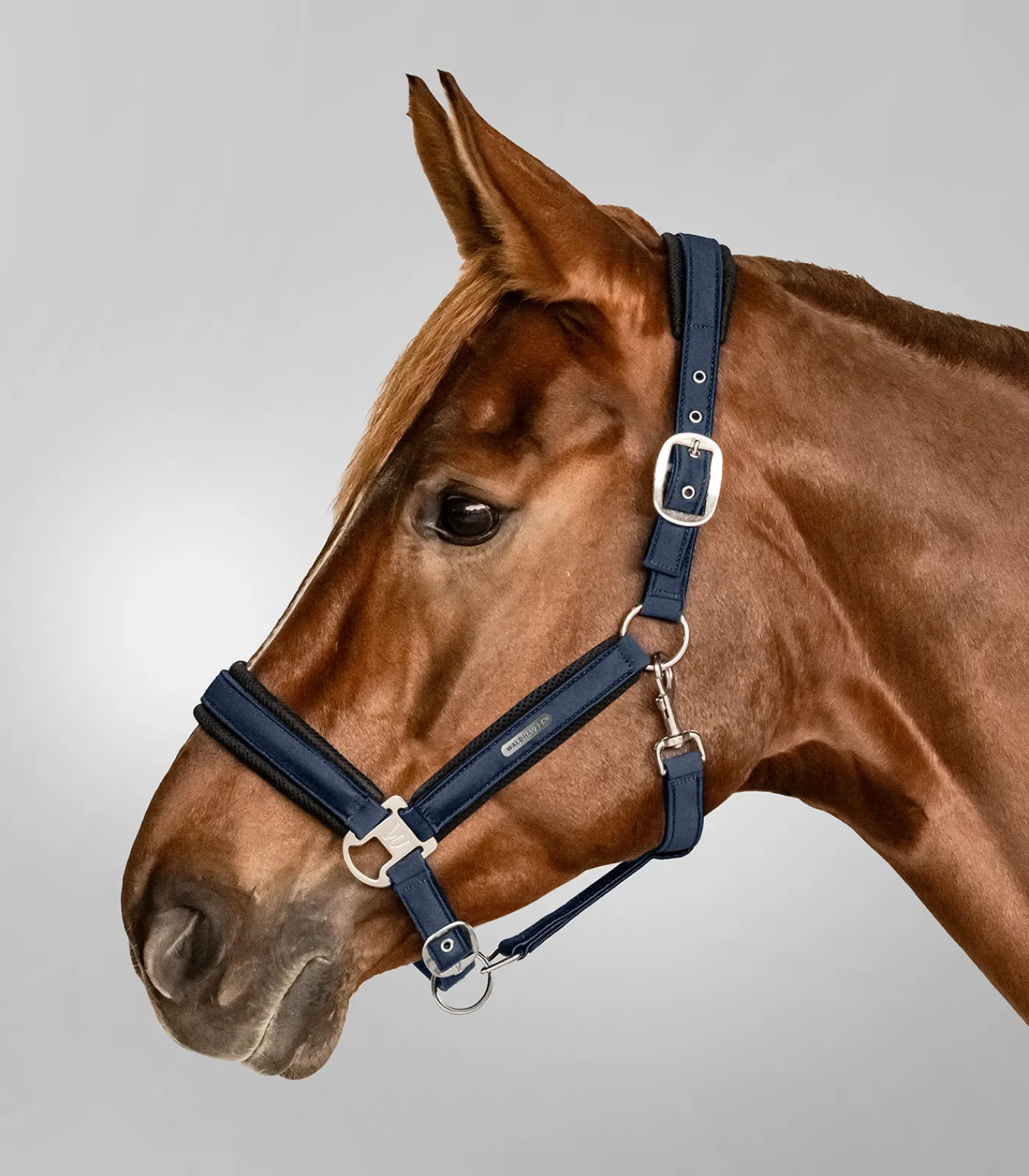 Waldhausen Halfter>Halfter Breath