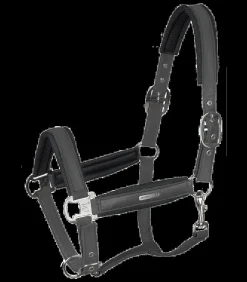 Waldhausen Halfter><noscript><img width=