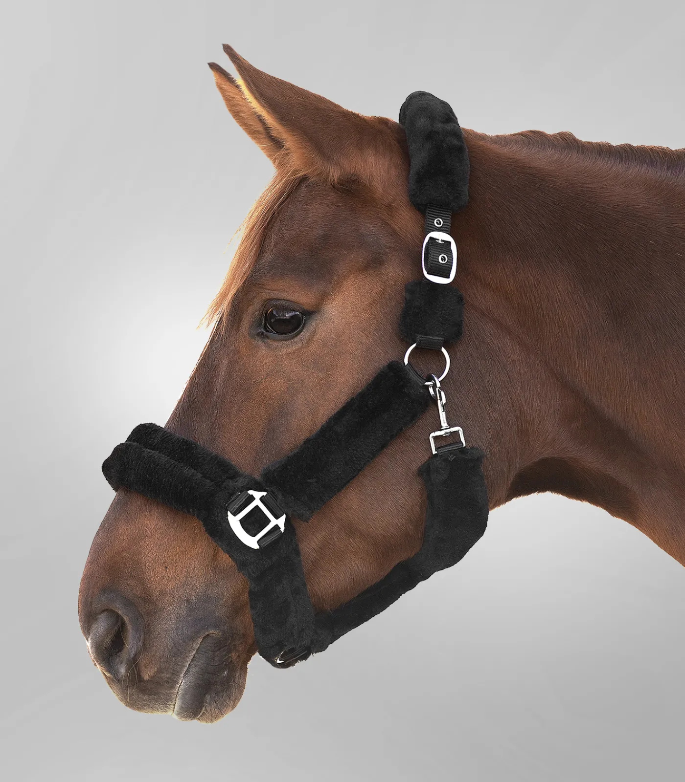 Waldhausen Transport|Pony & Shetty>Halfter Cozy