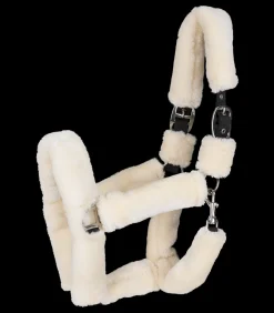 Waldhausen Transport|Pony & Shetty><noscript><img width=