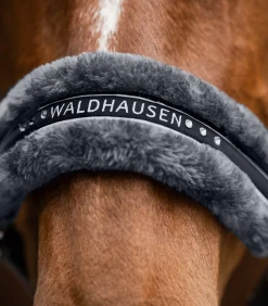 Waldhausen Pony & Shetty|Halfter><noscript><img width=