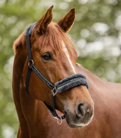 Waldhausen Pony & Shetty|Halfter><noscript><img width=