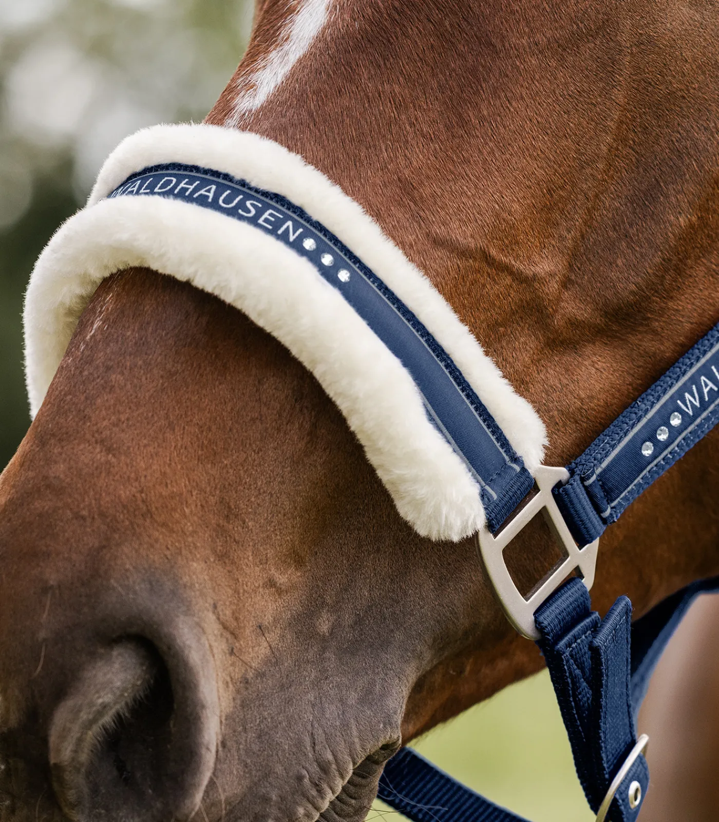 Waldhausen Pony & Shetty|Halfter>Halfter Elegant