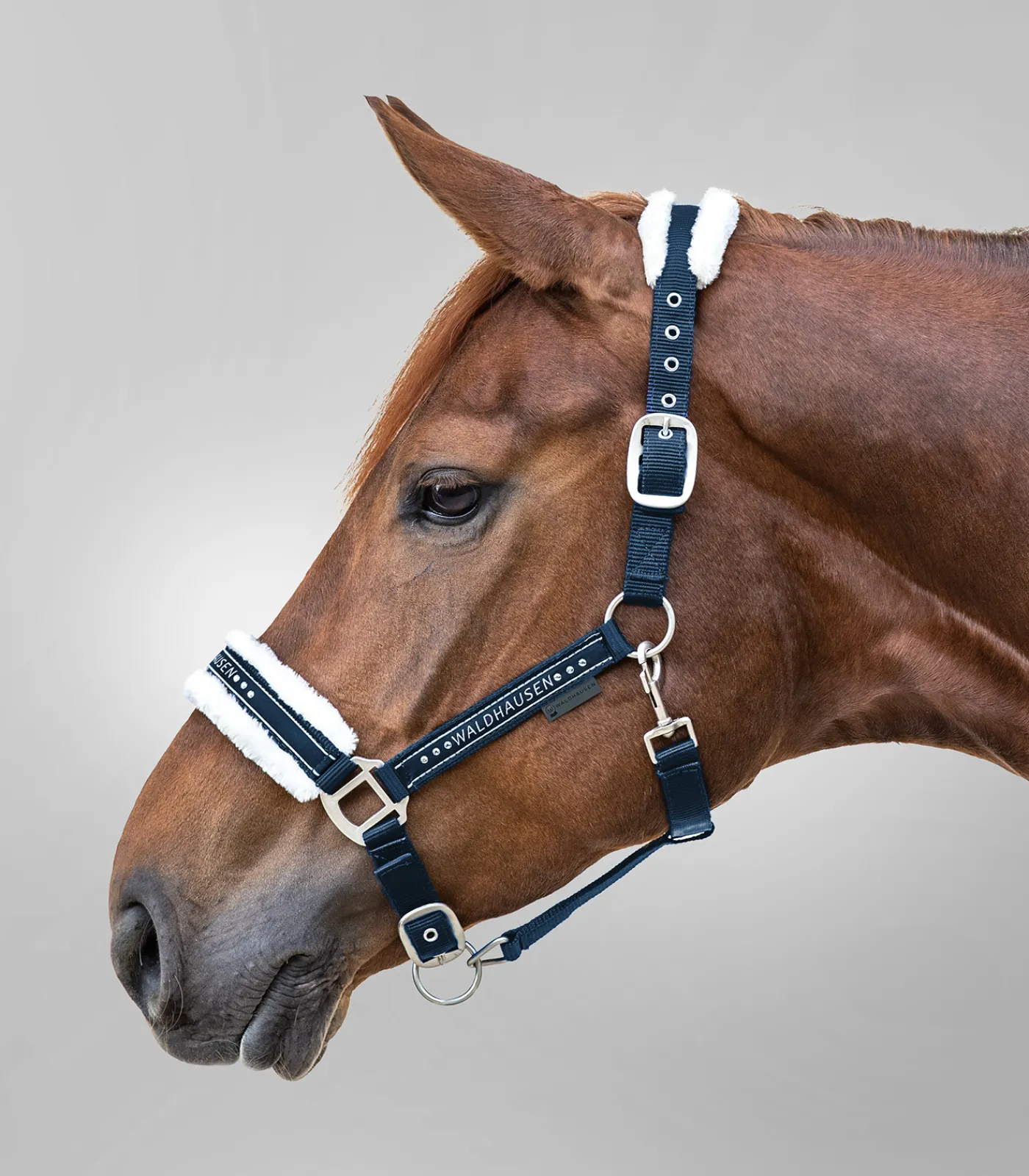 Waldhausen Pony & Shetty|Halfter>Halfter Elegant