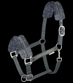 Waldhausen Pony & Shetty|Halfter><noscript><img width=