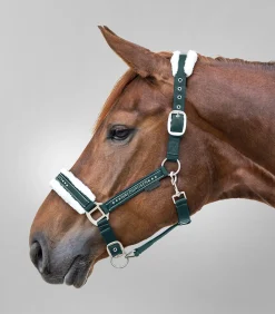 Waldhausen Pony & Shetty|Halfter><noscript><img width=