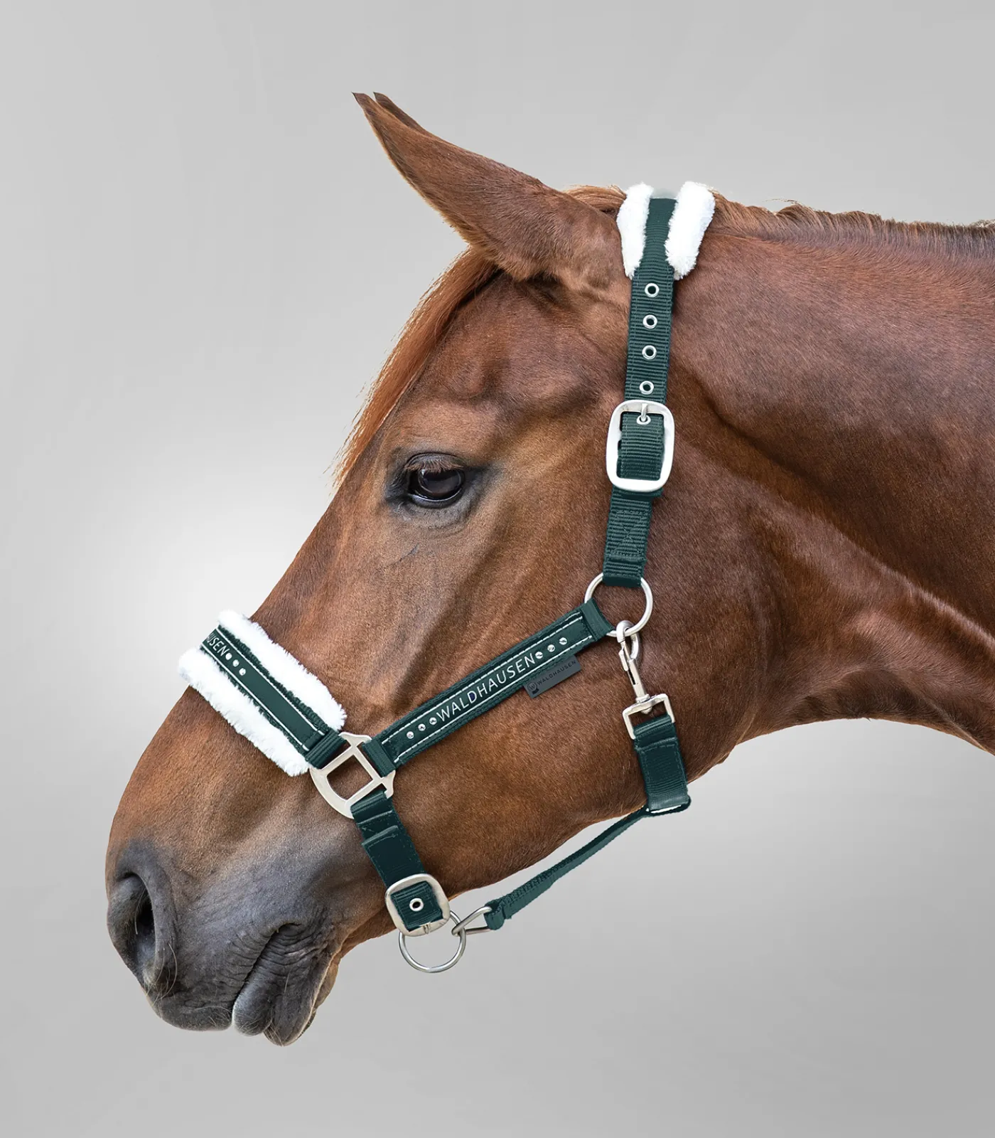 Waldhausen Pony & Shetty|Halfter>Halfter Elegant